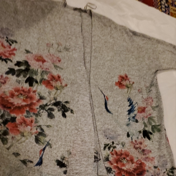 Cardegen - Picture 2 of 4